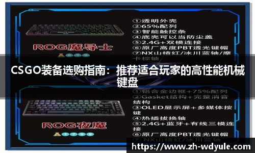 CSGO装备选购指南：推荐适合玩家的高性能机械键盘